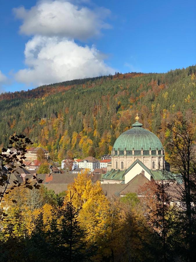 No 19 In The Black Forest Санкт-Блазиен Экстерьер фото